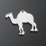 Atwater_06-CAMEL